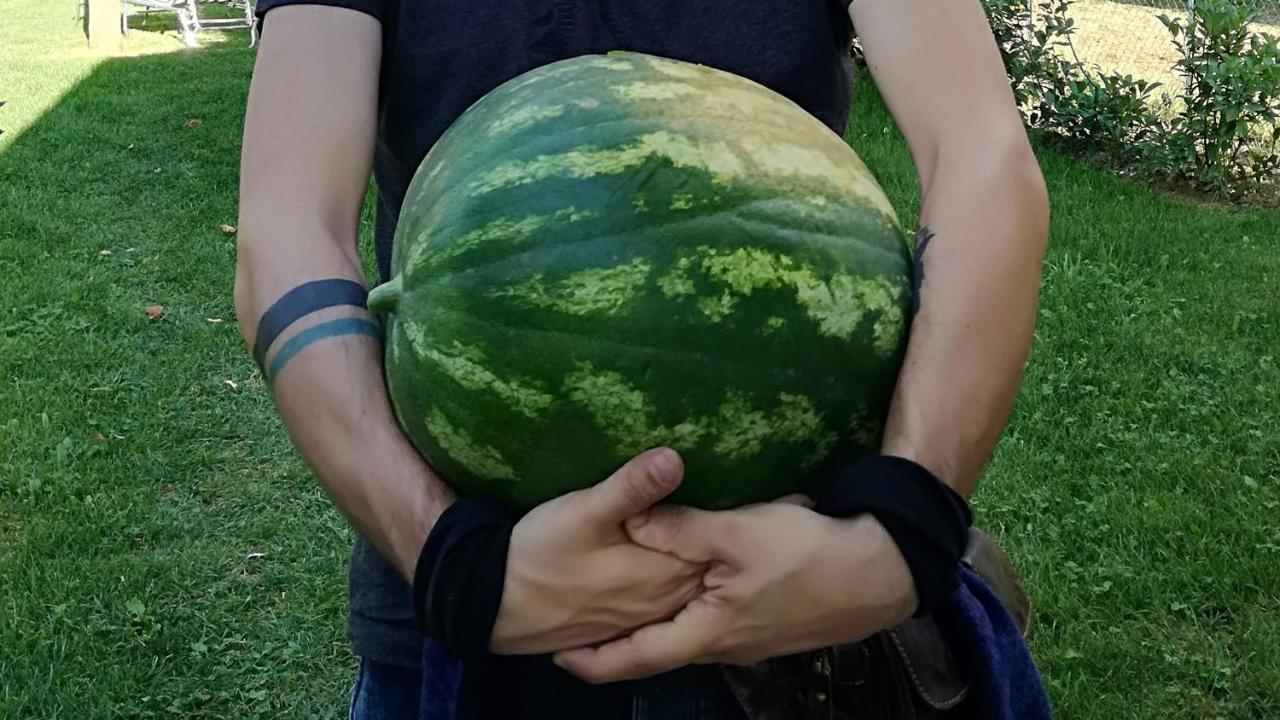 Agriturismo Casa Agricola Rossi Appartamenti In Casentino Soci Bagian luar foto